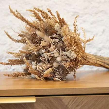 Sejour De Charme T3 Centre Historique Apartment