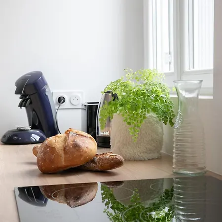 Sejour De Charme T3 Centre Historique * Bergerac